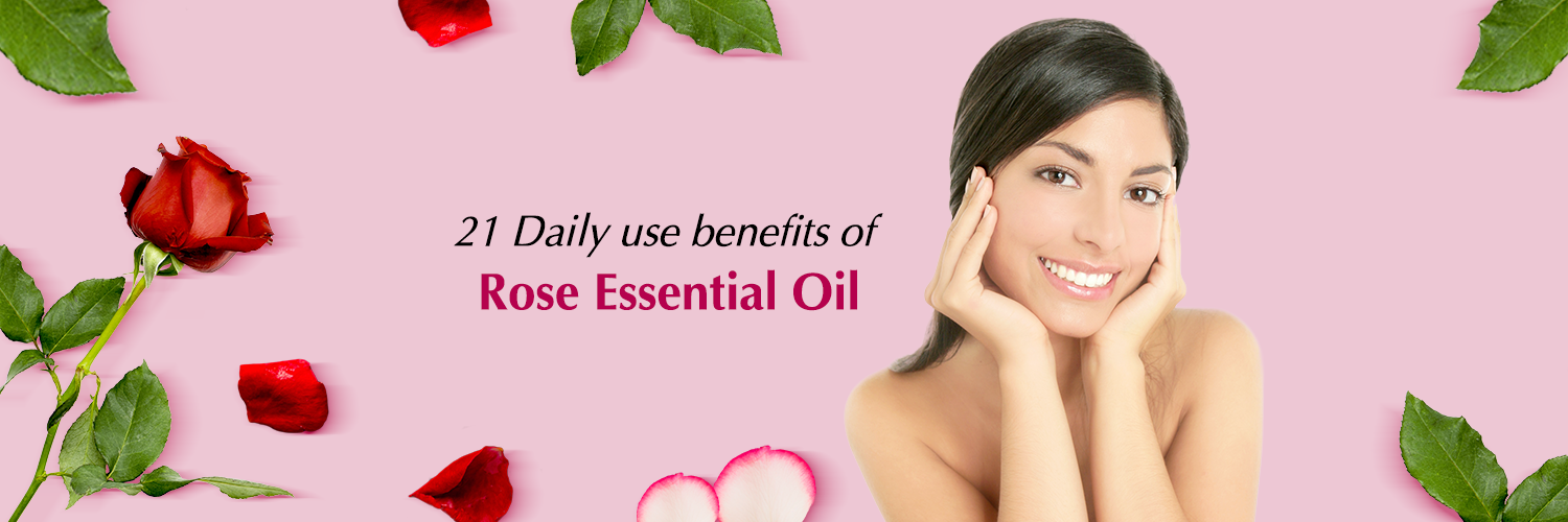 Rose Oil: What are the Benefits and Uses of This Essential Oil?